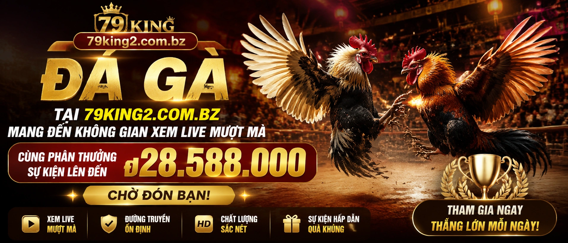 Đá Gà Trực Tiếp trên nền tảng 79king2