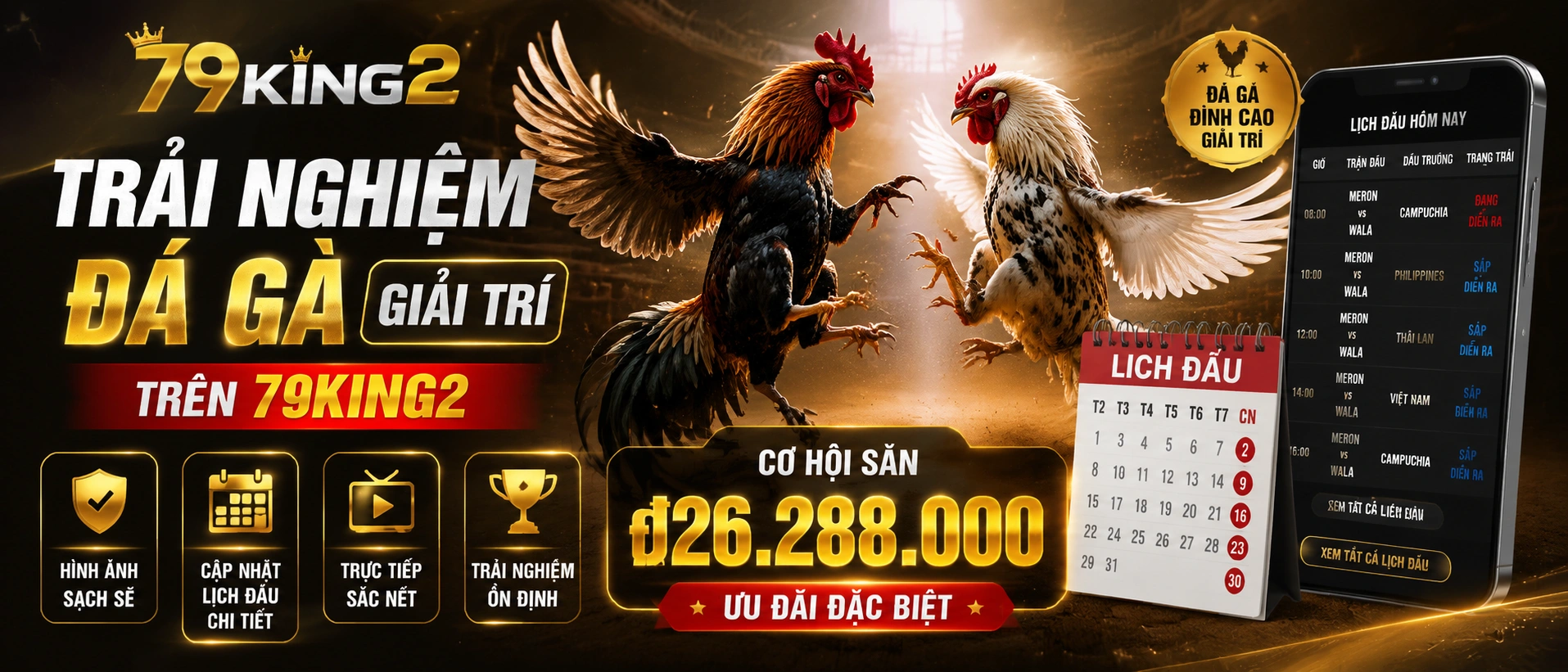 Không gian Đá Gà và nội dung giải trí 79king2